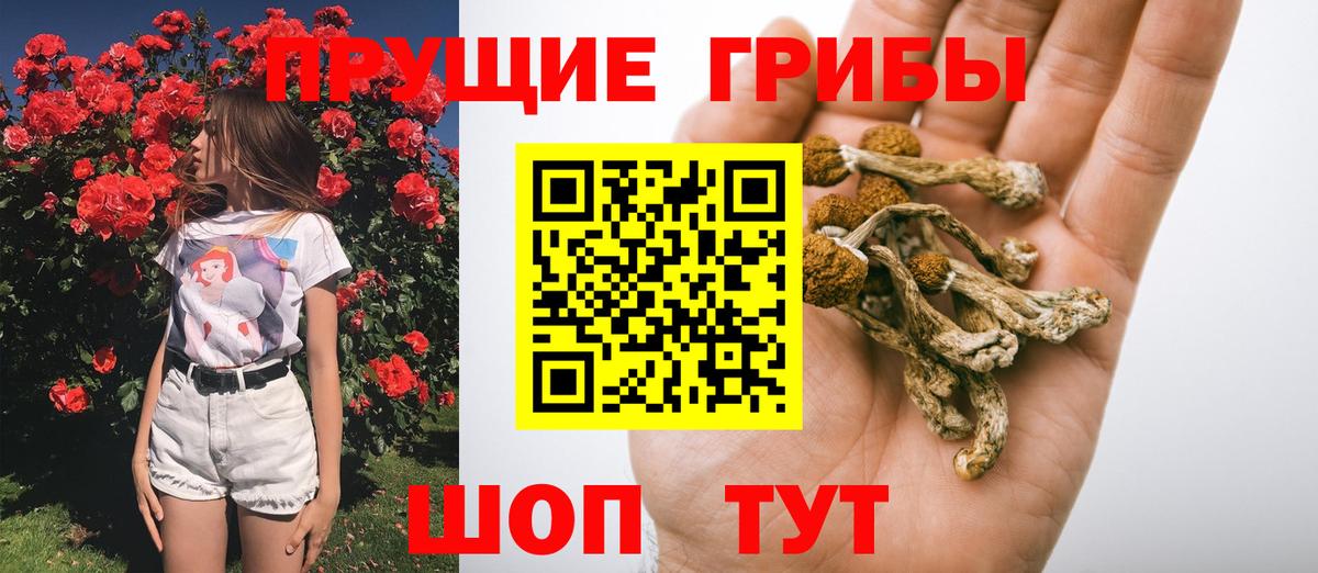 Галлюциногенные грибы мицелий  Вход с VPN  Ливны  Псилоцибиновые грибы Psilocybine cubensis 
